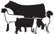 show livestock clip art.